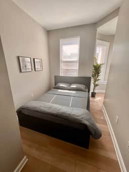 University area all new 3 bedroom livingroom.