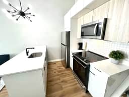 Art museum area 2 bedroom bilevel big unit &yard.