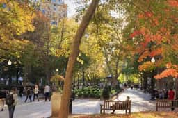 2bedroom apartment, w/patio, close to convention.